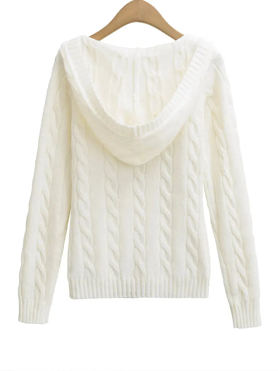 Casual Cable-knit V-neck Sweater With Hood