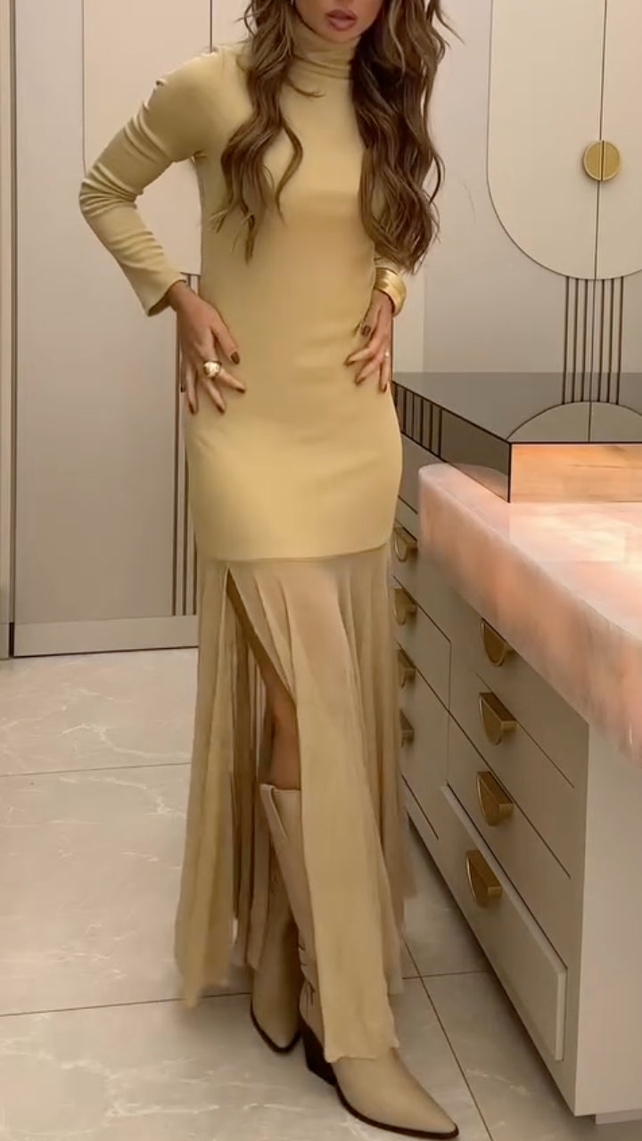 Turtleneck Mesh Maxi Dress